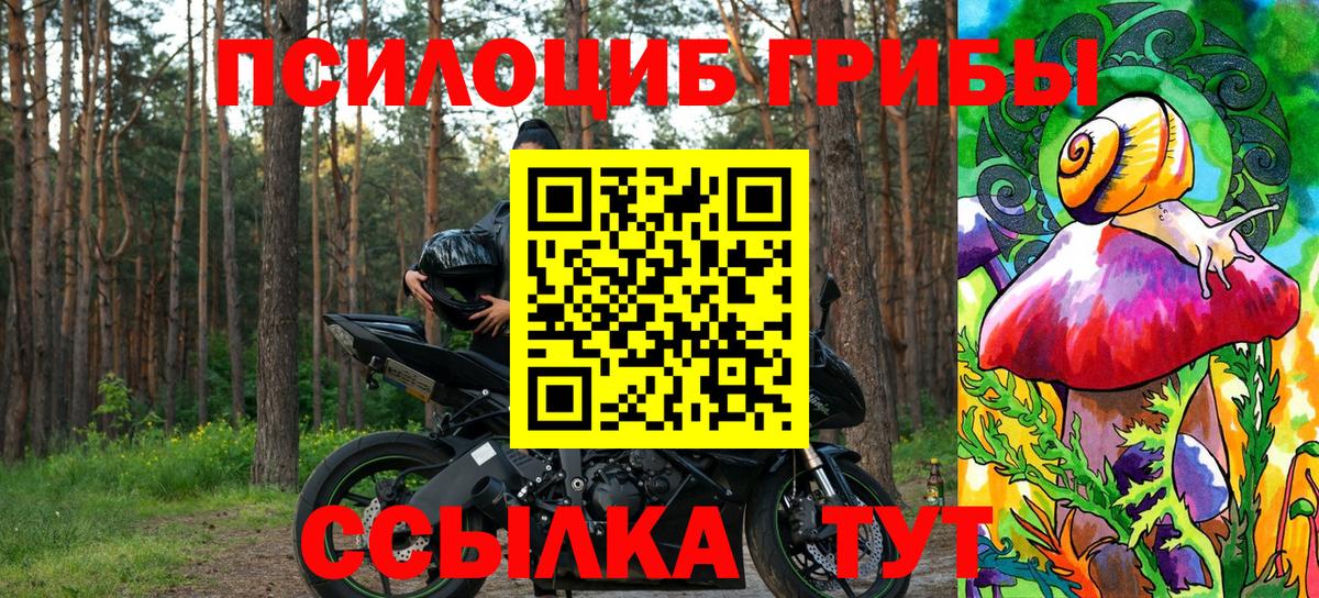 Псилоцибиновые грибы Cubensis  Галлюциногенные грибы Psilocybe  Орёл  Вход с VPN 